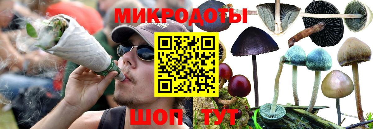 Псилоцибиновые грибы GOLDEN TEACHER Кудымкар